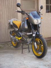 Streetumb05.jpg
