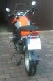 dekor_023.jpg